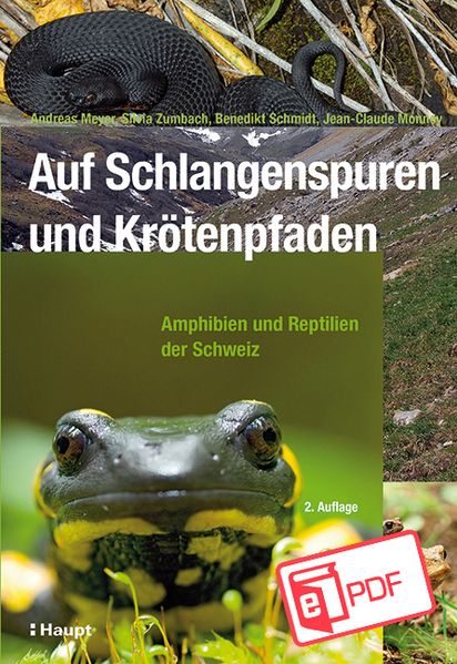 Auf Schlangenspuren und Krötenpfaden