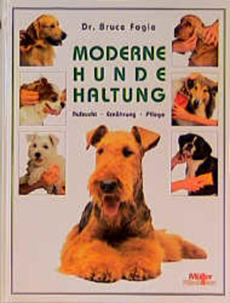 Moderne Hundehaltung