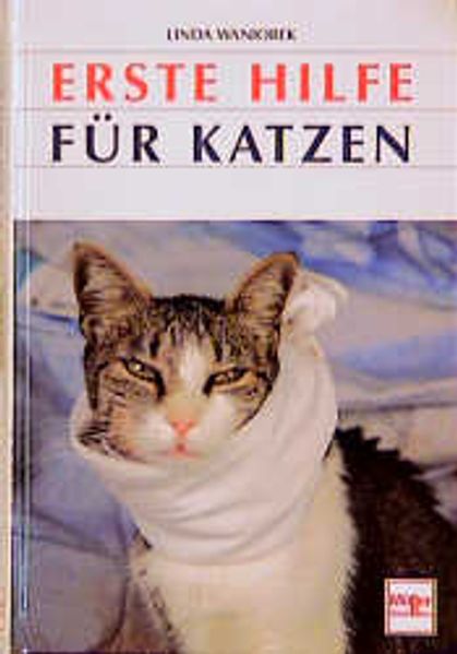 Erste Hilfe für Katzen