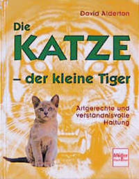 Die Katze - der kleine Tiger