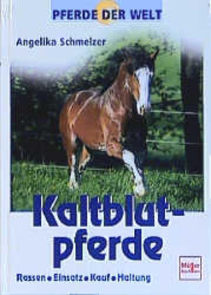 Kaltblutpferde