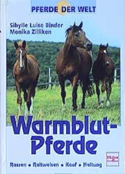 Warmblutpferde