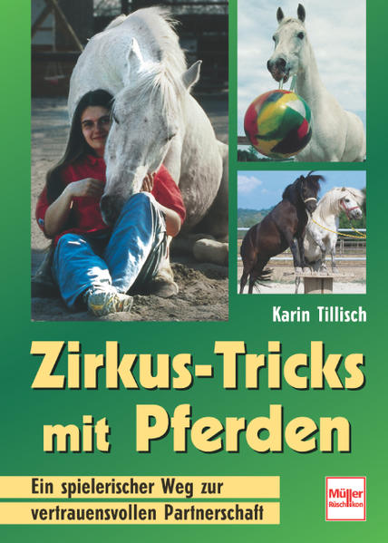 Harmonie - Pferd und Mensch