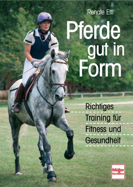 Pferde gut in Form