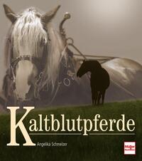 Kaltblutpferde