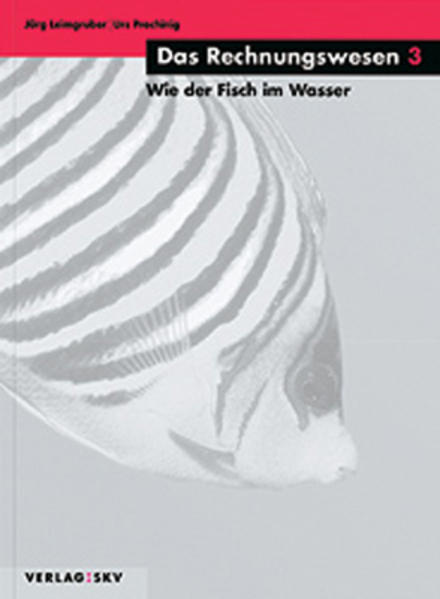 Das Rechnungswesen