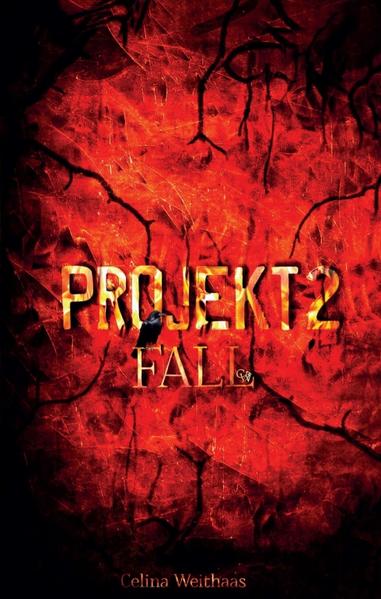 Projekt II