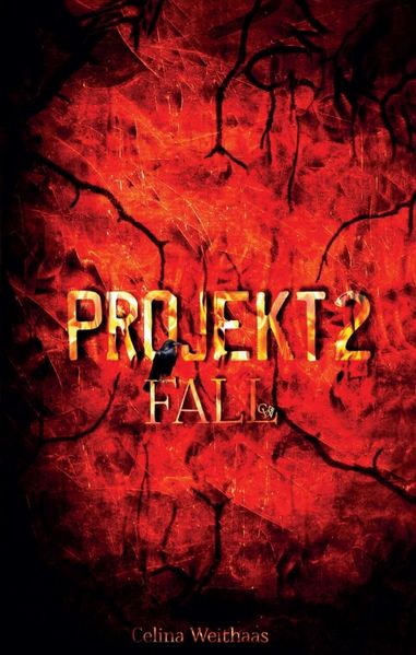 Projekt II