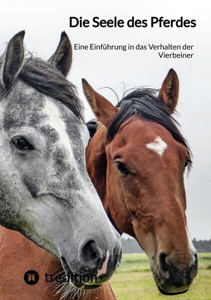 Die Seele des Pferdes