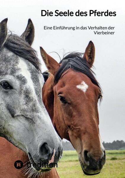 Die Seele des Pferdes
