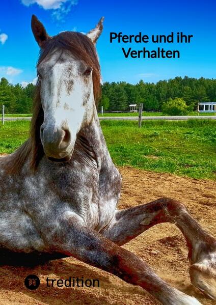 Pferde und ihr Verhalten