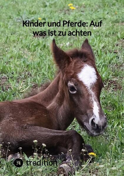 Kinder und Pferde: Auf was ist zu achten