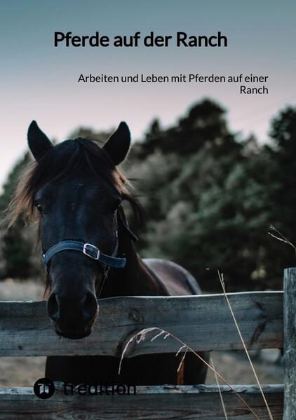 Pferde auf der Ranch