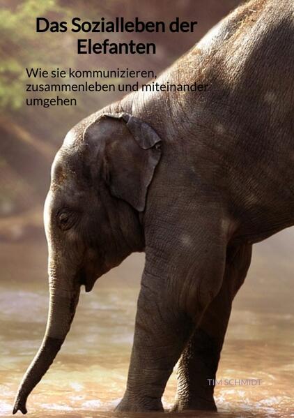 Das Sozialleben der Elefanten