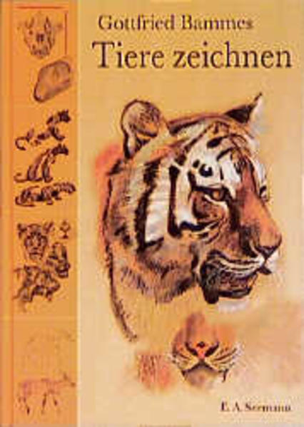 Tiere zeichnen