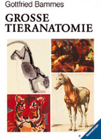 Die grosse Tieranatomie