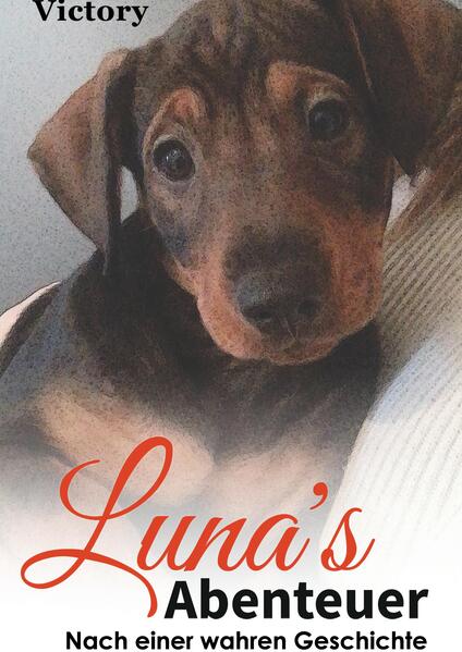 Luna´s weite Reise um sein geliebtes Herrchen wieder zu finden