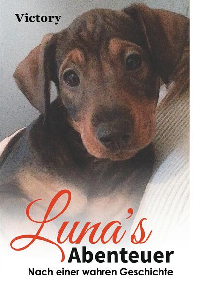 Luna`s Abenteuer