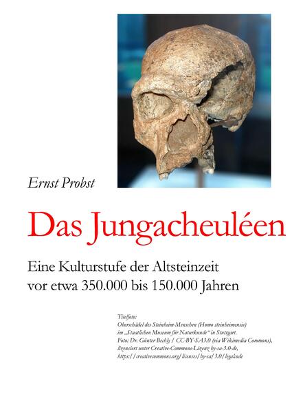 Das Jungacheuléen