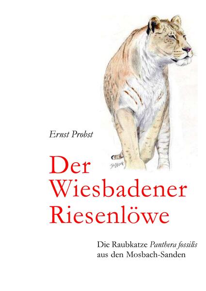 Der Wiesbadener Riesenlöwe