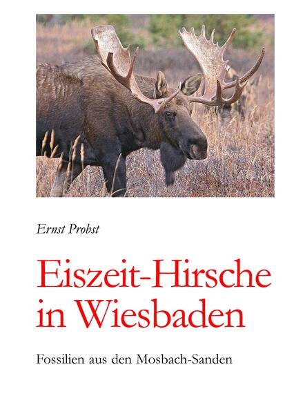 Eiszeit-Hirsche in Wiesbaden