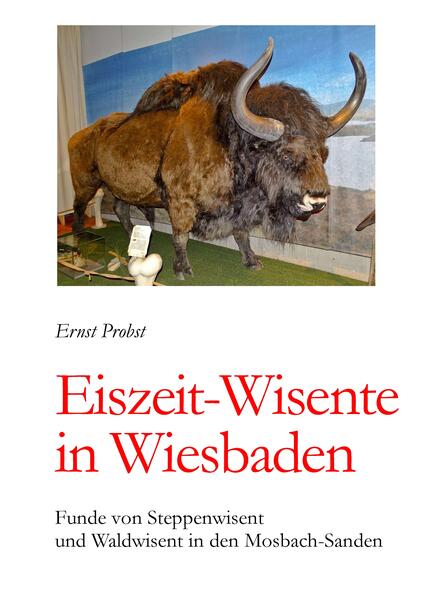 Eiszeit-Wisente in Wiesbaden
