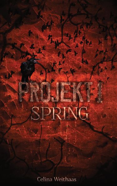 Spring - Projekt I