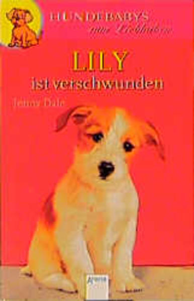 Lily ist verschwunden