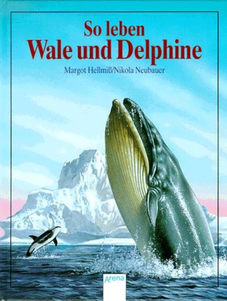 So leben Wale und Delphine