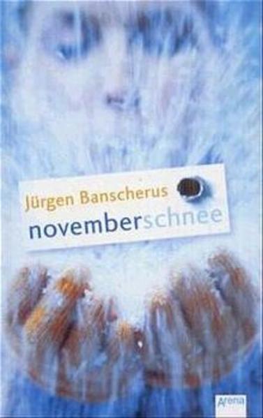 Novemberschnee