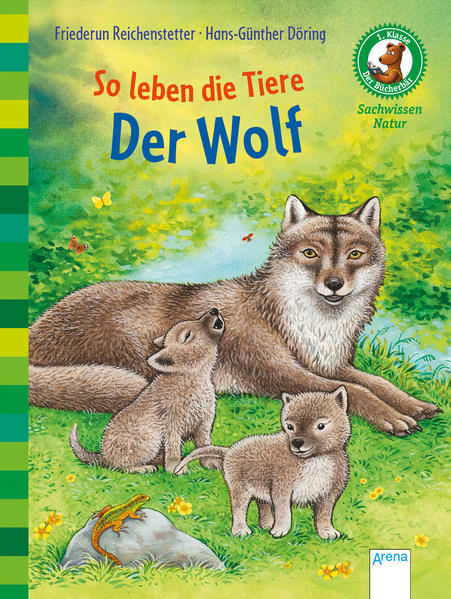 Der Bücherbär. Sachwissen für Erstleser / So leben die Tiere. Der Wolf