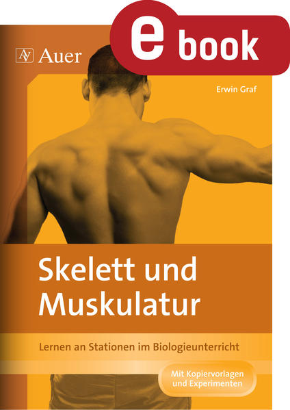 Skelett und Muskulatur