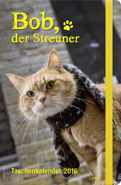 Bob, der Streuner - Taschenkalender