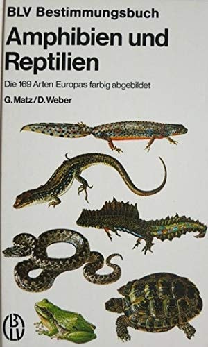 Amphibien und Reptilien