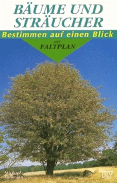 Bäume und Sträucher