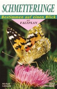 Schmetterlinge
