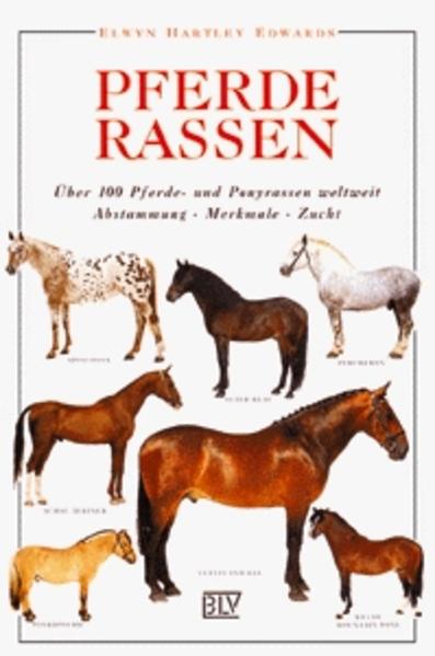 Pferderassen