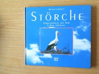 Störche