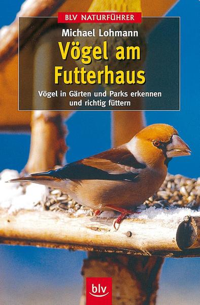 Vögel am Futterhaus