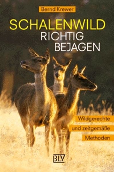 Schalenwild richtig bejagen