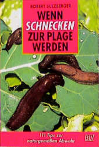 Wenn Schnecken zur Plage werden