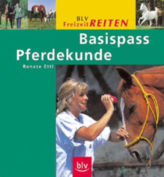 Basispass Pferdekunde