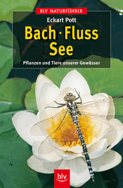Bach · Fluss · See