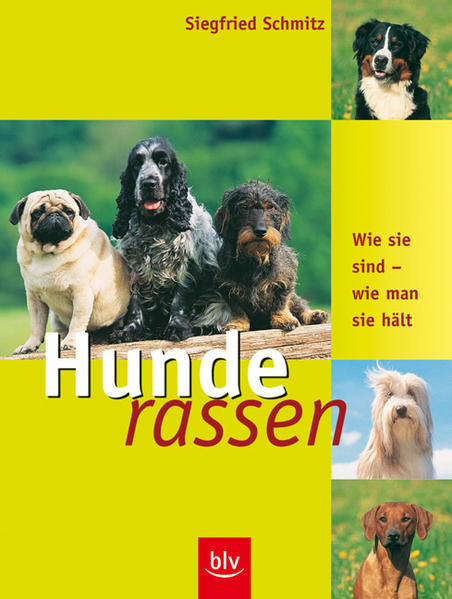 Hunderassen