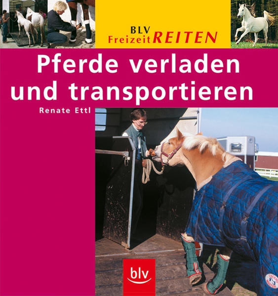 Pferde verladen und transportieren