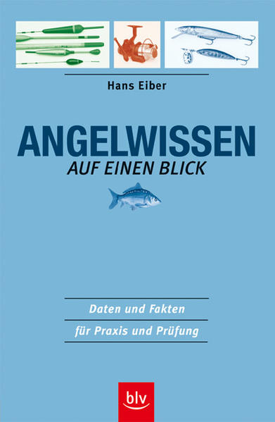 Angelwissen auf einen Blick