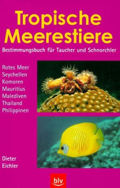 Tropische Meerestiere