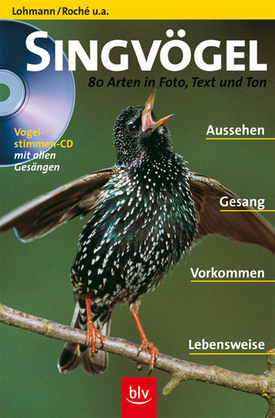 Singvögel