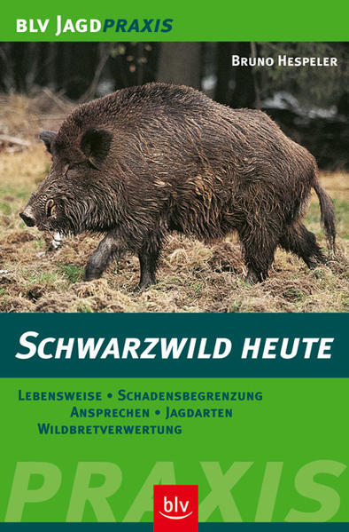 Schwarzwild heute