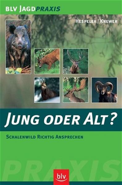 Jung oder alt?